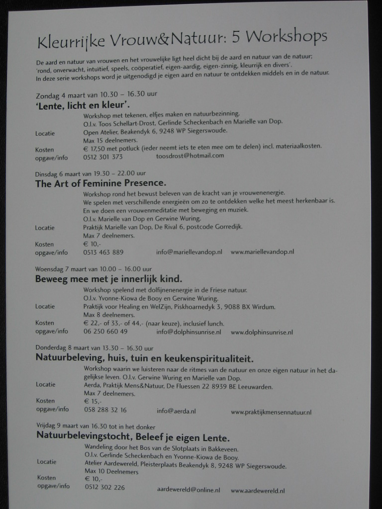 flyer 2